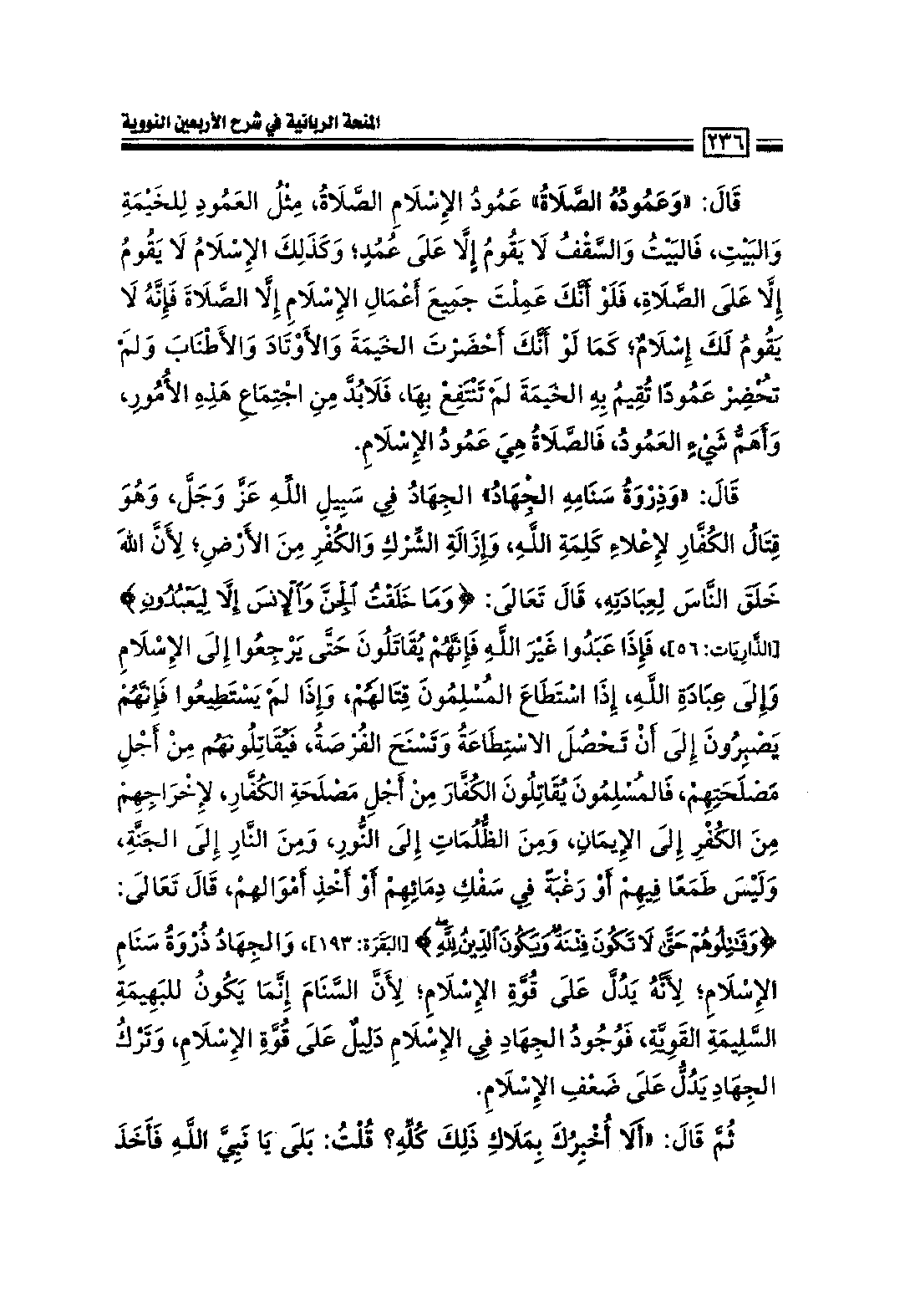 Page 238