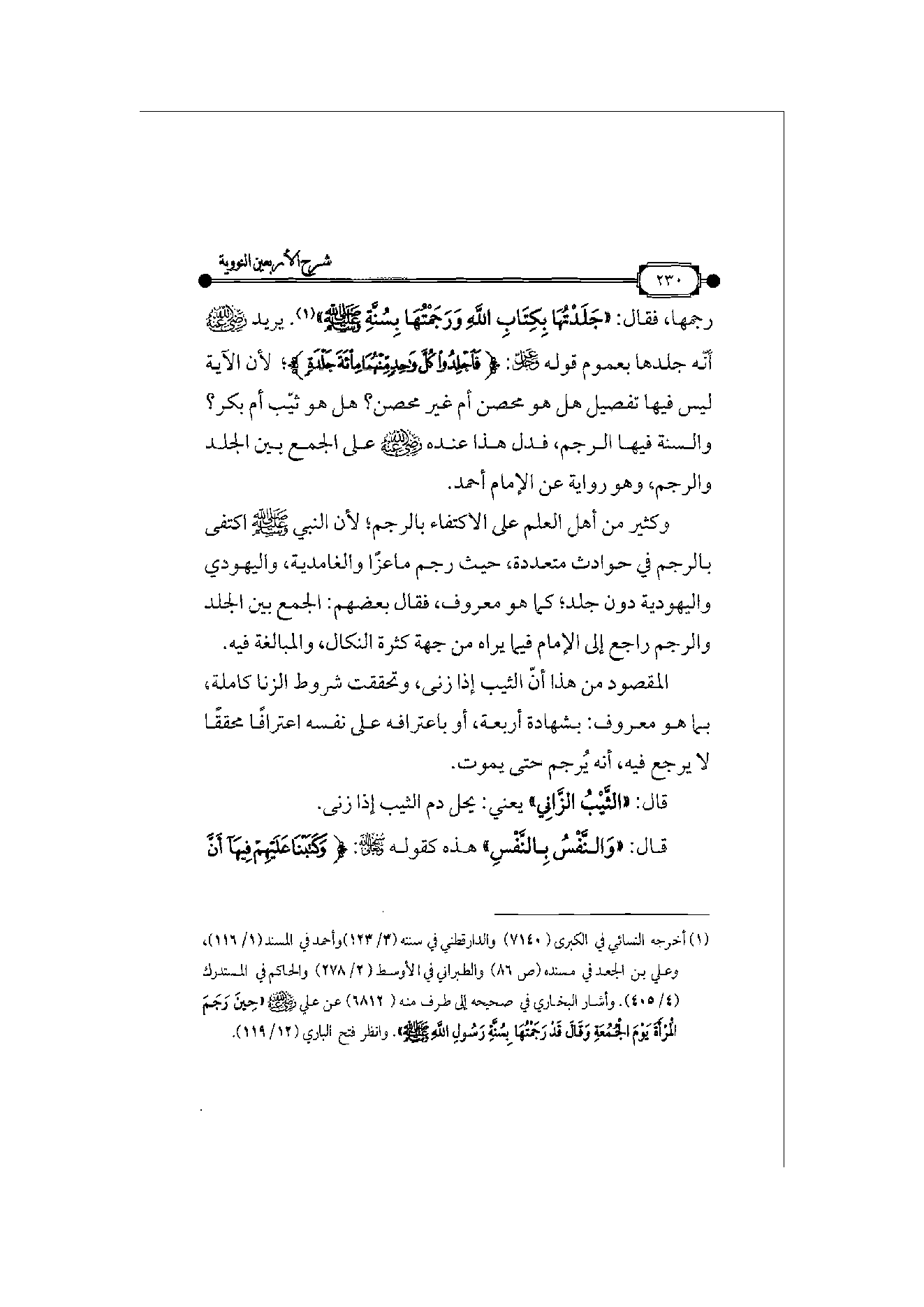 Page 231