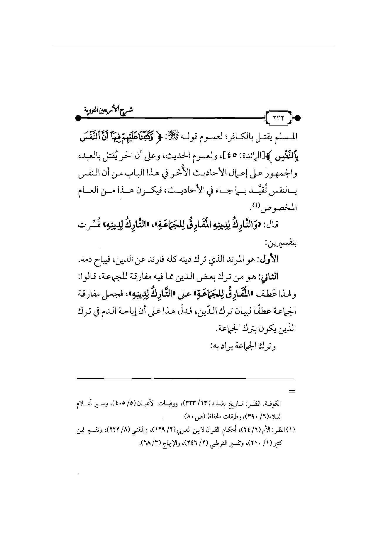 Page 233