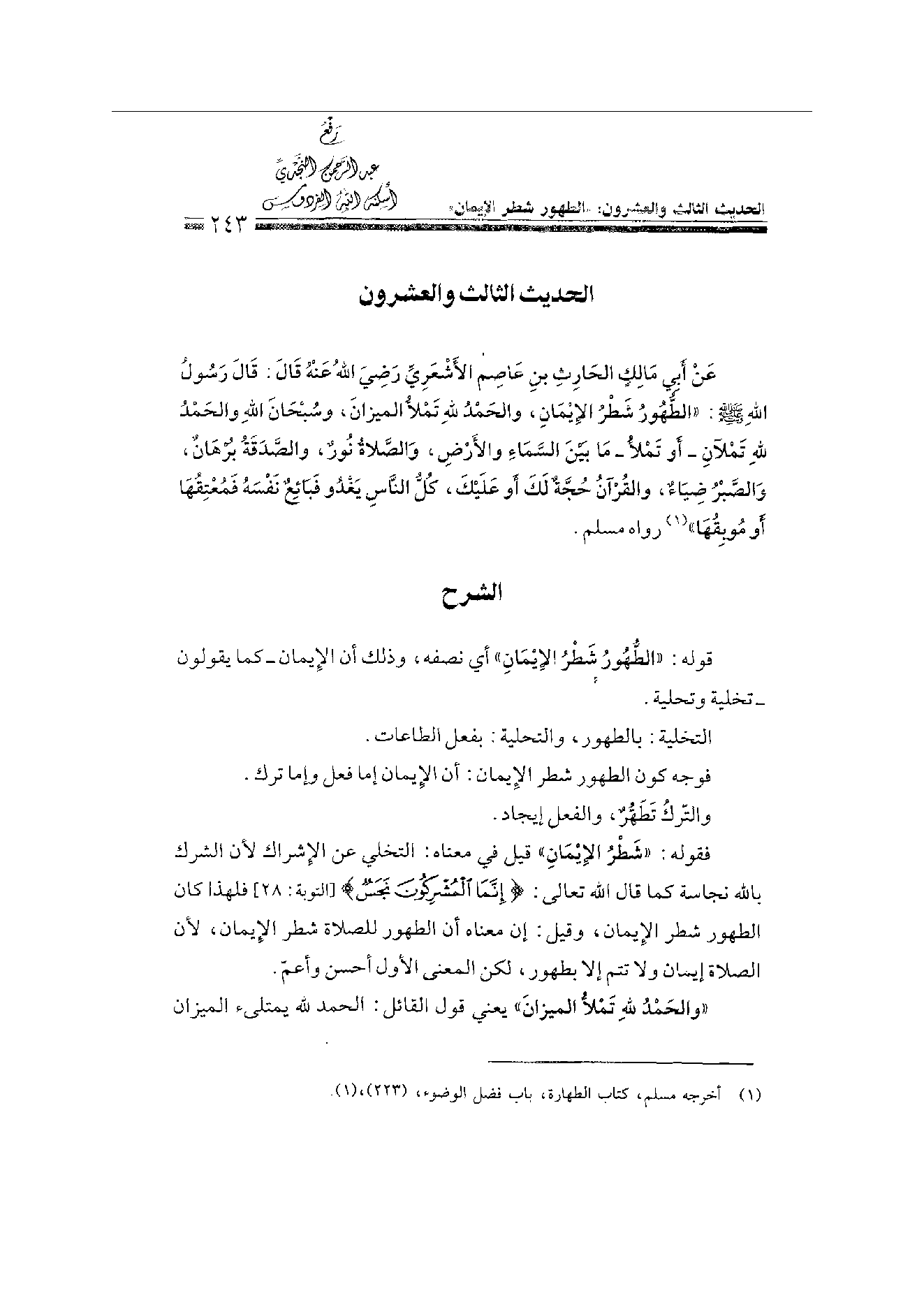 Page 243